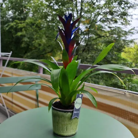 Apartament City Am Olympiapark Monachium